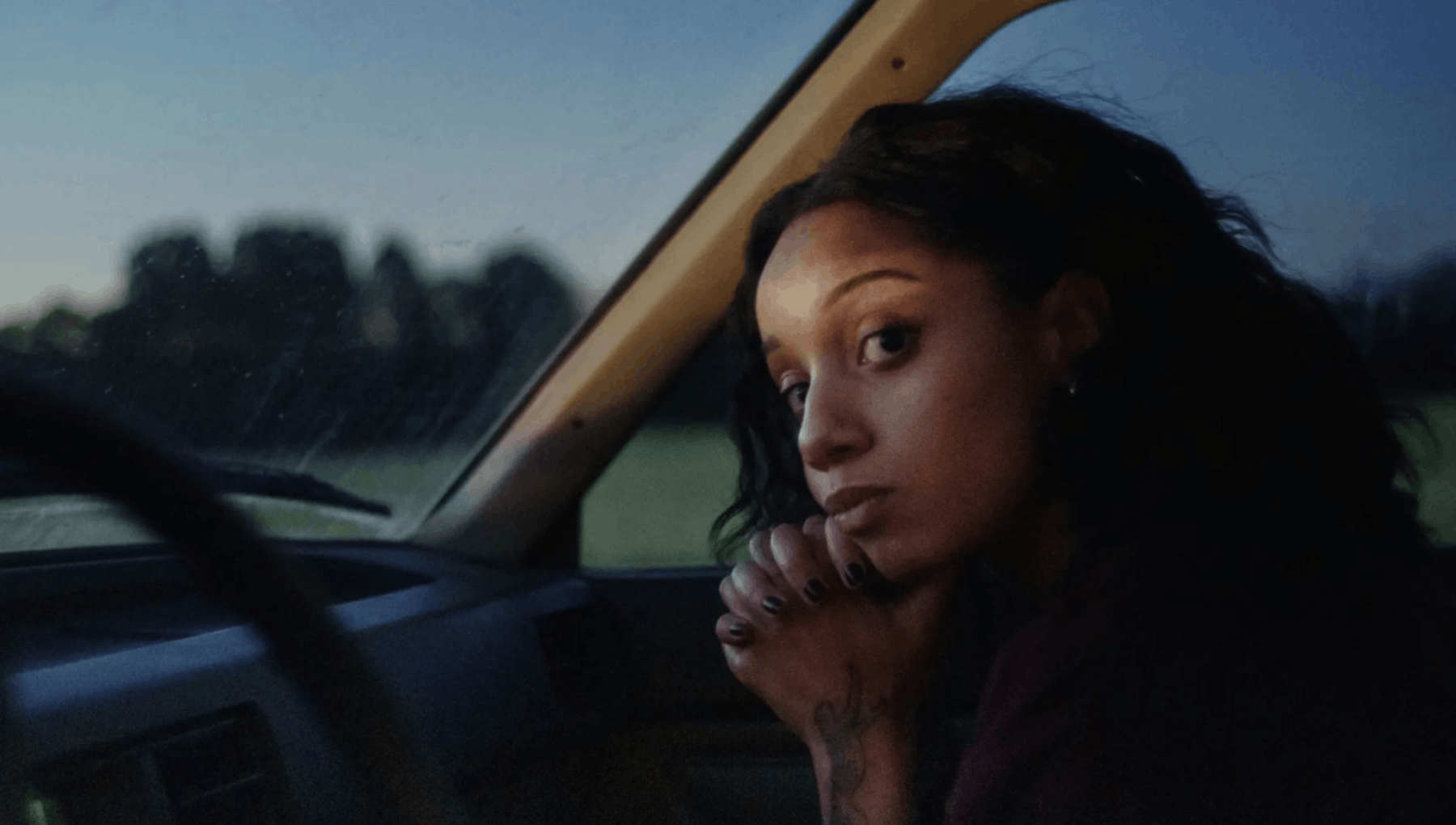 $artistdata->imageCredit