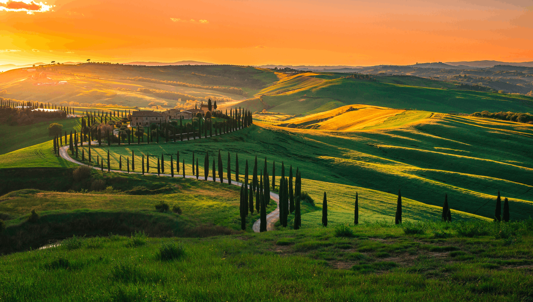 $artistdata->imageCredit