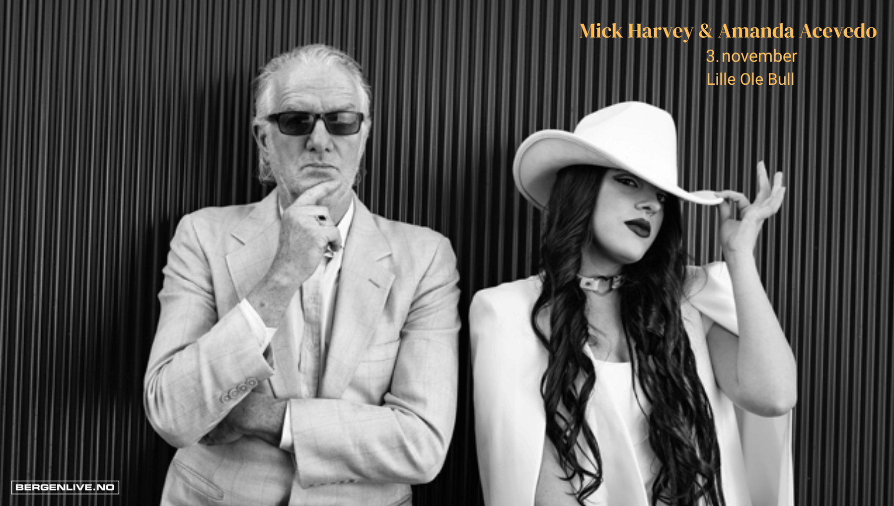 $artistdata->imageCredit