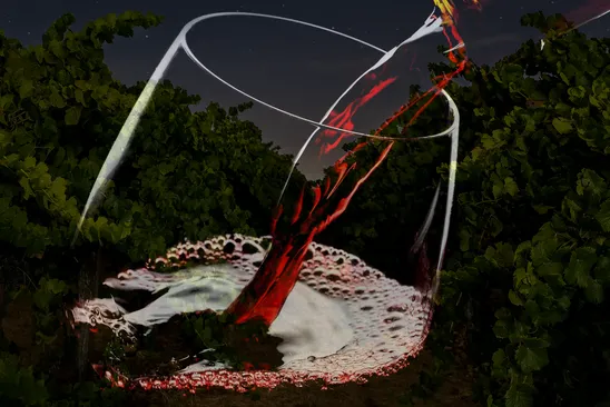 Douro, Bairrada og Dão – fra elegante fjellviner til ikoniske portviner