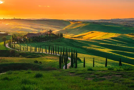 Chianti, Supertoscaner og Brunello