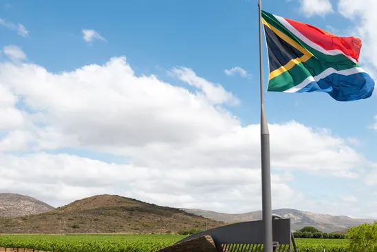 Små og store produsenter i Sør-Afrika