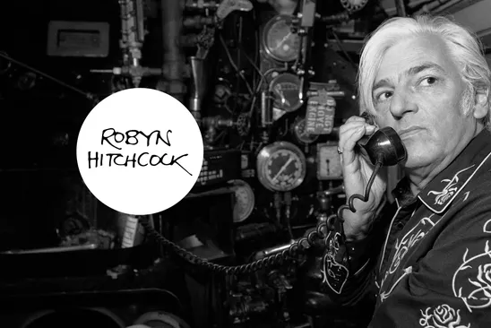 Robyn Hitchcock