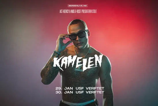 Kamelen